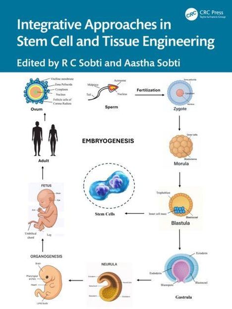 "Integrative Approaches in Stem Cell and Tissue Engineering." Illustrationen von Embryogenese, Zellbildung und menschlicher Entwicklung.