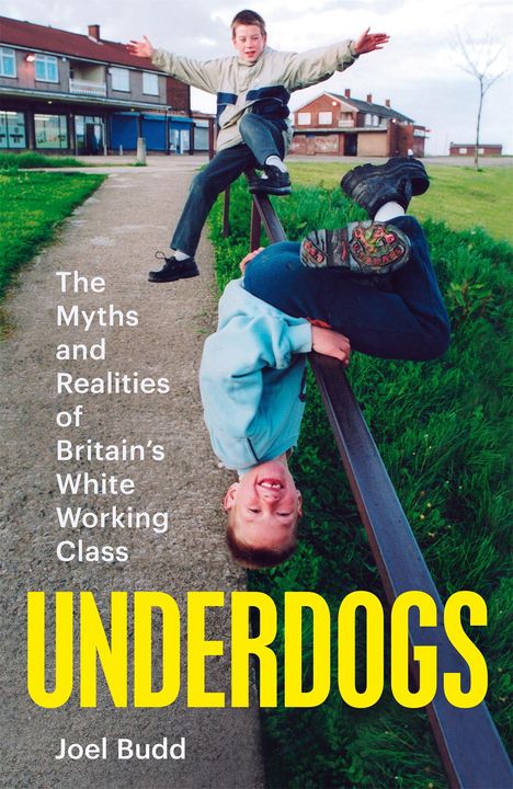 Joel Budd: Underdogs, Buch