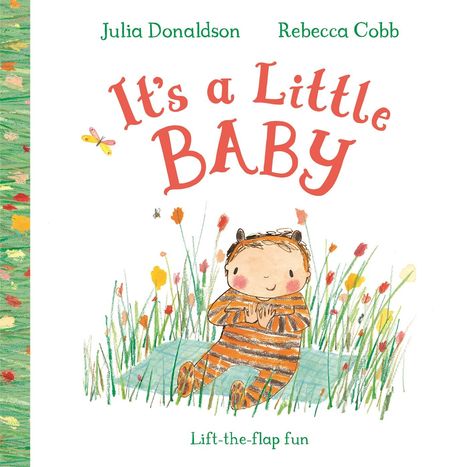 Julia Donaldson: It's a Little Baby, Buch