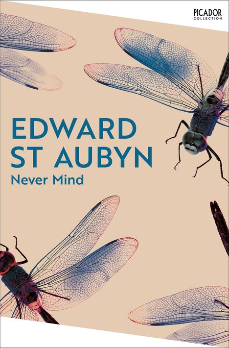 Edward St Aubyn: Never Mind, Buch