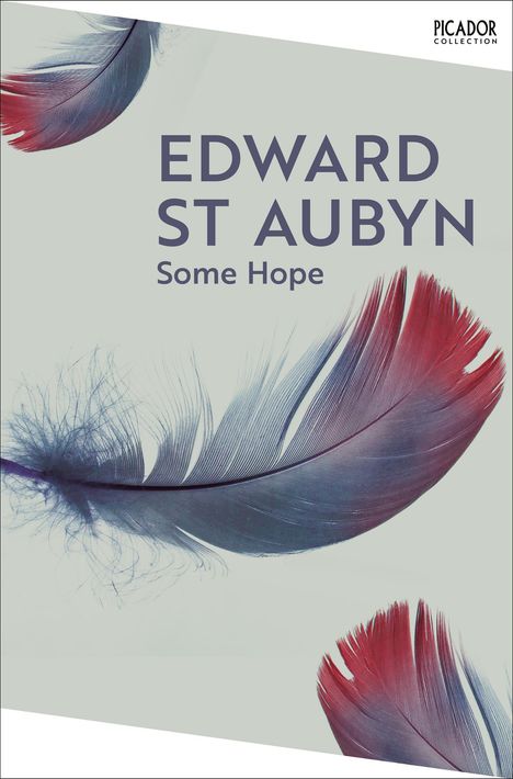 Edward St Aubyn: Some Hope, Buch