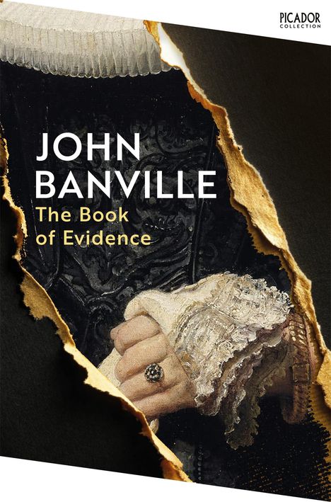 John Banville: The Book of Evidence, Buch