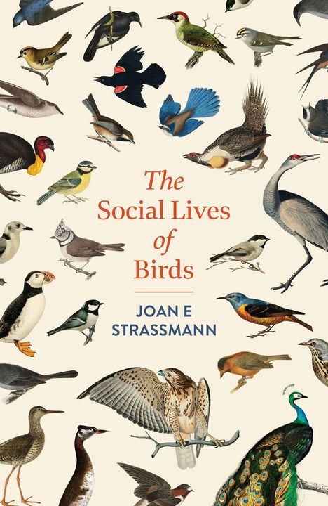 "The Social Lives of Birds" von Joan E Strassmann. Illustration mehrerer bunter Vogelarten vor hellem Hintergrund.
