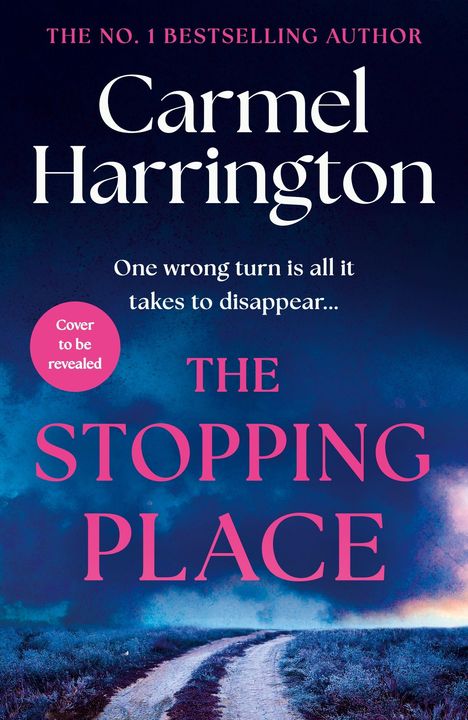 „The No. 1 Bestselling Author Carmel Harrington“, „One wrong turn is all it takes to disappear...“, „The Stopping Place“. Ein kurviger Weg unter dramatischem Himmel.