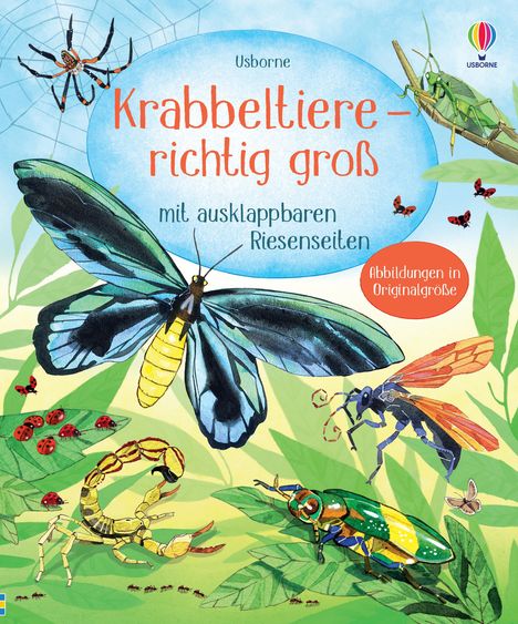 Krabbeltiere - richtig groß, Buch