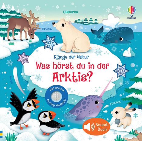 Klänge der Natur: Was hörst du in der Arktis?, Buch