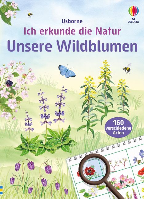 „Ich erkunde die Natur: Unsere Wildblumen“ mit „160 verschiedene Arten“. Illustration mit Blumen, Bienen, Schmetterlingen.