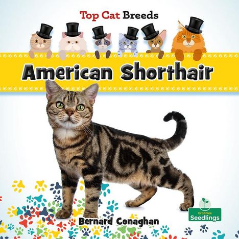 Bernard Conaghan: American Shorthair, Buch