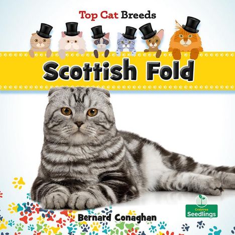 Bernard Conaghan: Scottish Fold, Buch