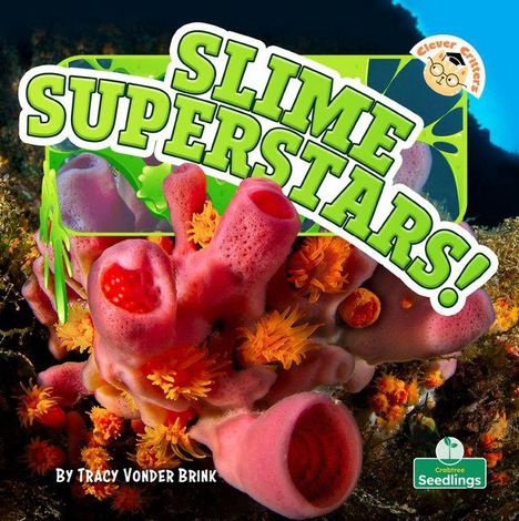Text: "Slime Superstars!", "By Tracy Vonder Brink", oben links ein rundes Logo. Unterwasseraufnahme mit bunten Meeresschwämmen.