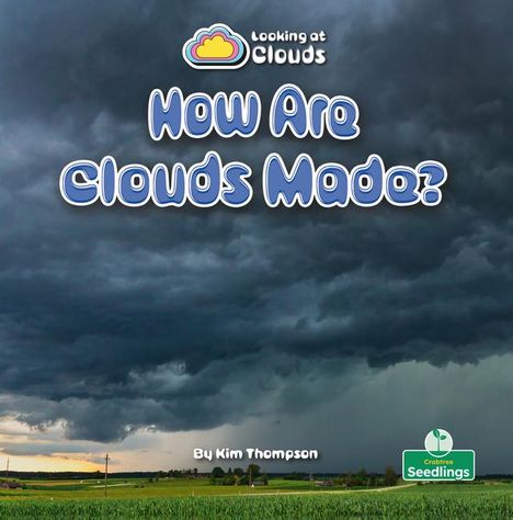Kim Thompson: How Are Clouds Made?, Buch