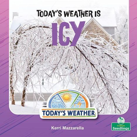 "Today’s weather is icy." Im Hintergrund sind vereiste Bäume und ein Hausdach. Ein Logo zeigt Wetter-Symbole.
