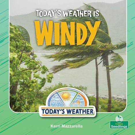 "Today's Weather is Windy" in großen gelben Buchstaben, darunter Palmen im Sturm.
