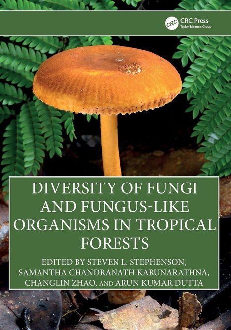 Titel: "Diversity of Fungi and Fungus-like Organisms in Tropical Forests", darüber ein großer brauner Pilz, umgeben von Farnen.