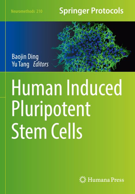 „Human Induced Pluripotent Stem Cells“, Grün; Autoren Baojin Ding, Yu Tang; abstrakte Zellabbildung, Humana Press Logo.