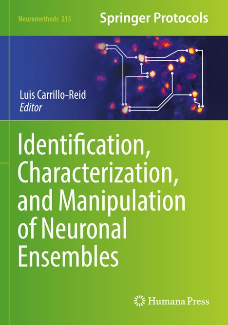 Text: Neuromethods 215, Springer Protocols, Luis Carrillo-Reid Editor. Grüne Gestaltung mit neuronaler Illustration.