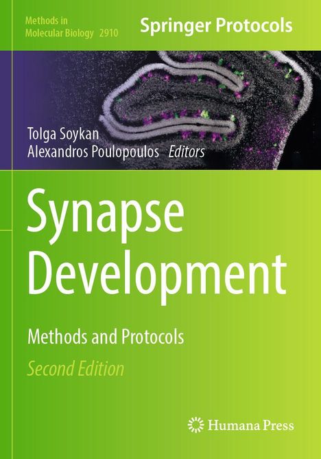 "Synapse Development: Methods and Protocols, Second Edition" Herausgeber: Tolga Soykan, Alexandros Poulopoulos. Grüne Farbgestaltung.