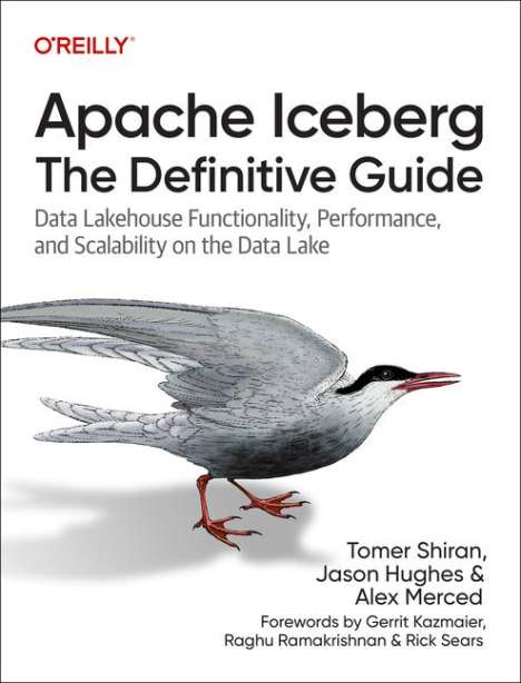 Tomer Shiran: Apache Iceberg: The Definitive Guide, Buch