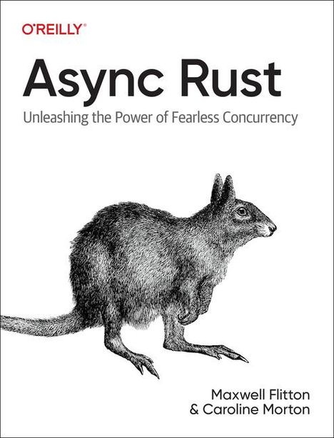 Maxwell Flitton: Async Rust, Buch