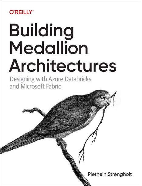 Piethein Strengholt: Building Medallion Architectures, Buch