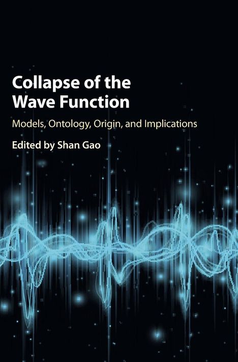 Collapse of the Wave Function, Buch