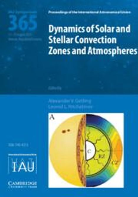 Dynamics of Solar and Stellar Convection Zones and Atmospheres (Iau S365), Buch