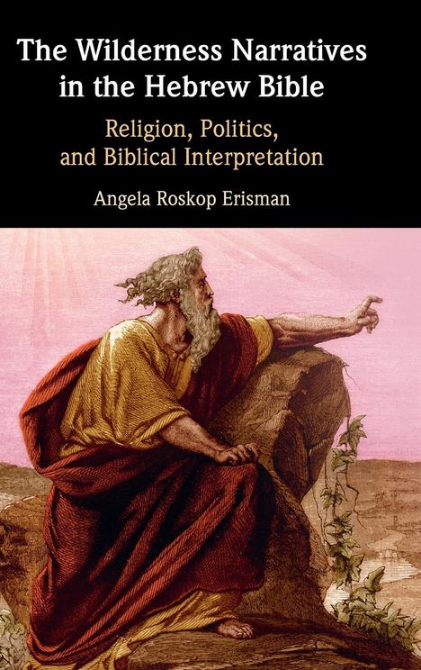 Angela Roskop Erisman: The Wilderness Narratives in the Hebrew Bible, Buch