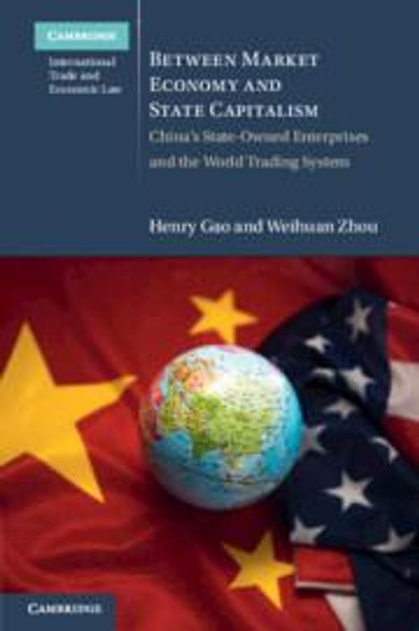 Henry Gao: Between Market Economy and State Capitalism, Buch