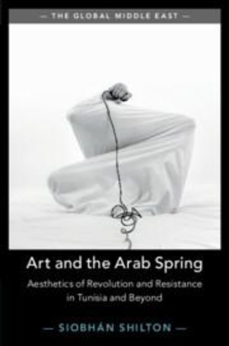 Siobhan Shilton: Art and the Arab Spring, Buch