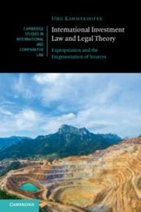 Jörg Kammerhofer: International Investment Law and Legal Theory, Buch