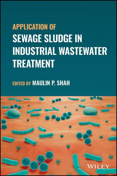 Application of Sewage Sludge in Industrial Wastewater Treatment, Buch