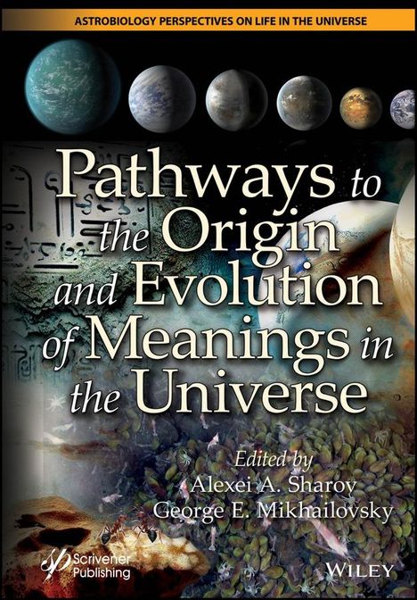 Pathways to the Origin and Evolution of Meanings in the Universe, Buch
