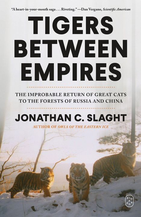 Text: „TIGERS BETWEEN EMPIRES“ von Jonathan C. Slaght. Drei Tiger im Schnee zwischen Bäumen im Hintergrund.
