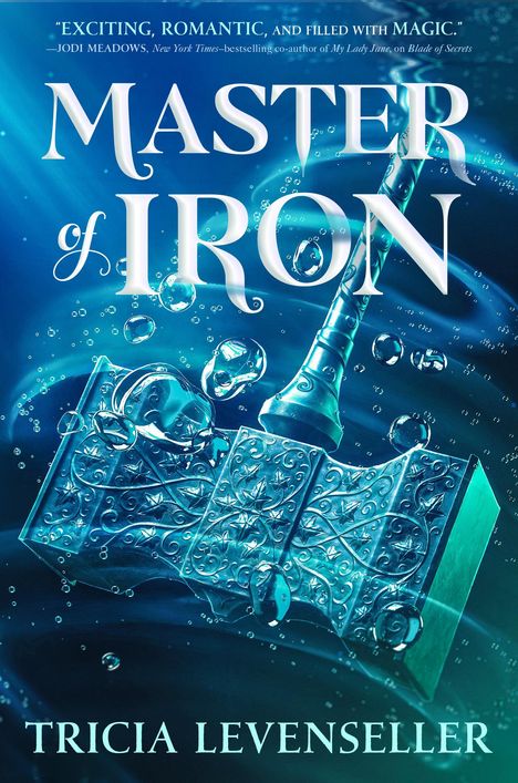 Tricia Levenseller: Master of Iron, Buch