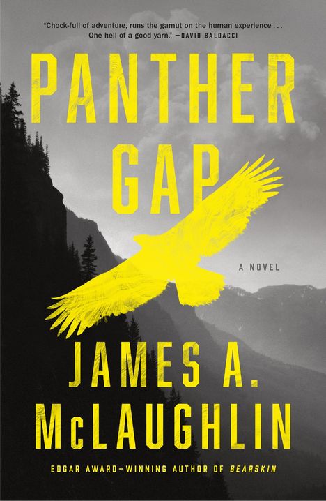 James A McLaughlin: Panther Gap, Buch