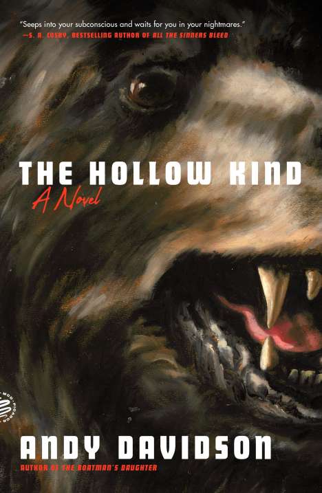Andy Davidson: The Hollow Kind, Buch