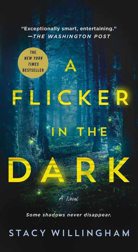 Stacy Willingham: A Flicker in the Dark, Buch