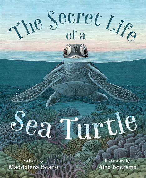 Maddalena Bearzi: The Secret Life of a Sea Turtle, Buch