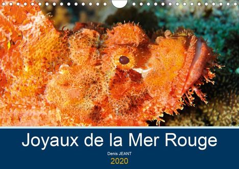 Denis Jeant: Jeant, D: Joyaux de la Mer Rouge (Calendrier mural 2020 DIN, Kalender