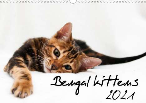 Sylke Enderlein - Bethari Bengals: Enderlein - Bethari Bengals, S: Bengal kittens 2021 (Wall Ca, Kalender
