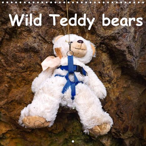 Karin Sigwarth: Sigwarth, K: Wild Teddy bears (Wall Calendar 2022 300 × 300, Kalender