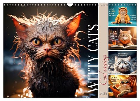 Melanie Viola: WITTY CATS Cool sayings (Wall Calendar 2025 DIN A3 landscape), CALVENDO 12 Month Wall Calendar, Kalender