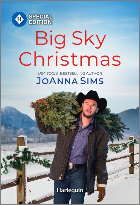 Joanna Sims: Big Sky Christmas, Buch