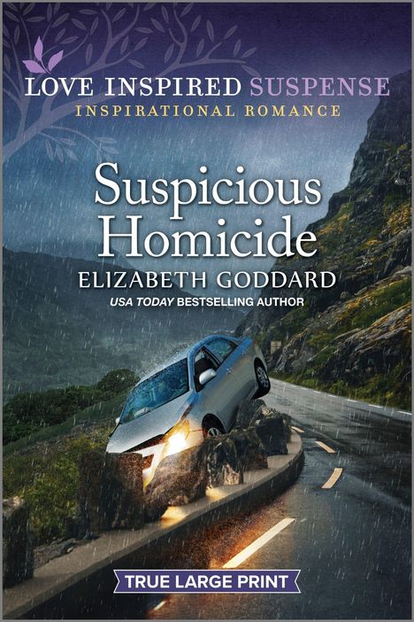 Elizabeth Goddard: Suspicious Homicide, Buch