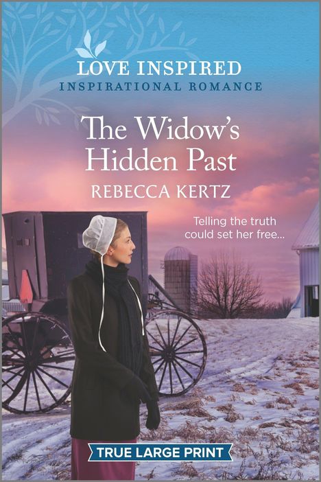 Rebecca Kertz: The Widow's Hidden Past, Buch