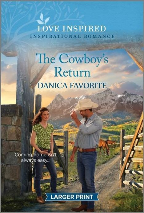 Danica Favorite: The Cowboy's Return, Buch