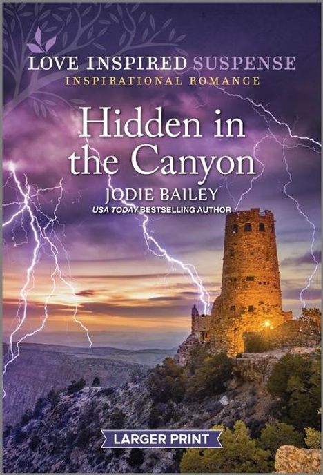 Jodie Bailey: Hidden in the Canyon, Buch