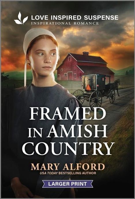 Mary Alford: Framed in Amish Country, Buch