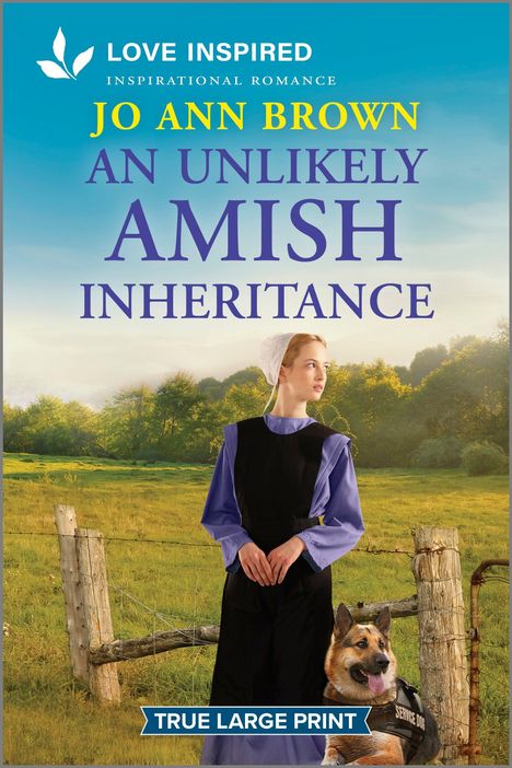 Jo Ann Brown: An Unlikely Amish Inheritance, Buch