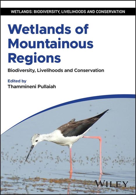 Wetlands of Mountainous Regions, Buch